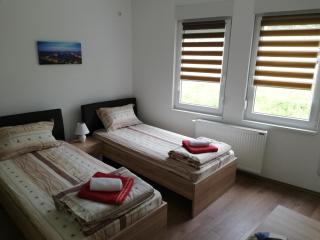 Apartment Tijana - Banja Koviljača - 0