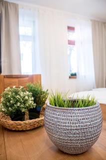 Apartment Dora - Chemnitz - 8