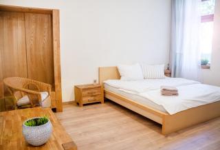 Apartment Dora - Chemnitz - 4