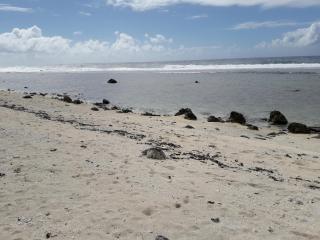 Mirimiri Spa Homestay - 5