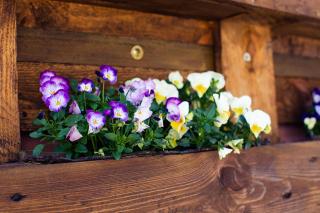 Pia Fewo Günzburg - 3