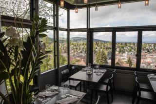 Hotel Restaurant Falkenburg - St. Gallen - 9