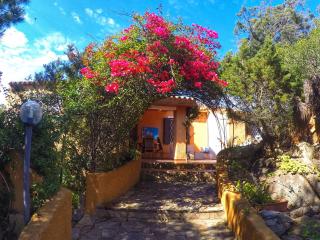 Casa MìMì - La Maddalena - 9