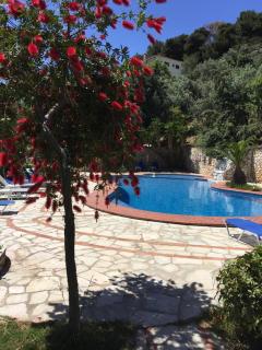 vassilias beach hotel - Vassilias - 9