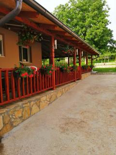 Apartmani Bojana - Vrdnik - 0