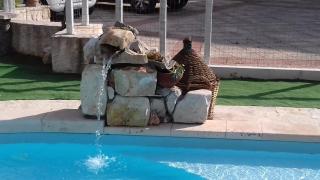 B&B Villa Nonna Maria - Castellana Grotte - 5