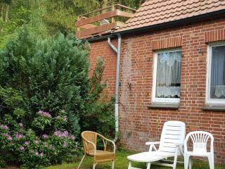 Landhaus Dobbin - Dobbertin - 9