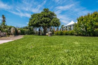 B&B Le Dune - Lascari - 3