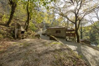 Quinta do Rio Homem - Caldelas - 0