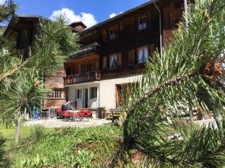 Gasthaus Rathaus - Safien Platz - 7