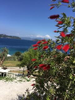 vassilias beach hotel - Vassilias - 2