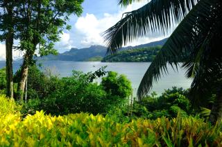 La Residence - Baie Lazare Mahé - 9
