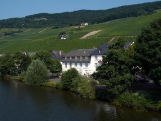 Hotel Café Alt-Piesport - Piesport - 1
