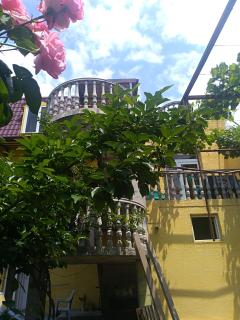 Why Me Eco-friendly Rooms - Tbilisi - 9