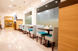 Vivanta Chitwan Bharatpur - Bharatpur - 6