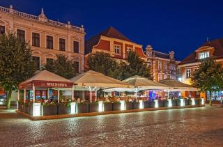 B&B Wieniawa PARKING I ŚNIADANIE W CENIE! BREAKFAST AND PARKING INCLUDED! - Leszno - 4