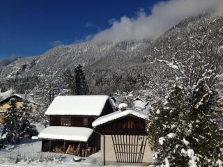 Landhaus Lilly - Obertraun - 4