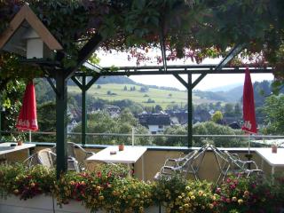 Garni-Hotel-Schäfer - Schuld - 4