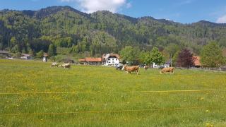 s´Quartier am Schliersee - Schliersee - 6