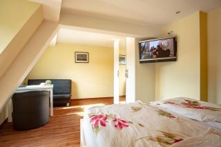 Hotel Mosella - 5