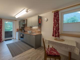 Landhaus Lilly - Obertraun - 1