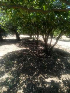 Nature Houses - Lagos - 8