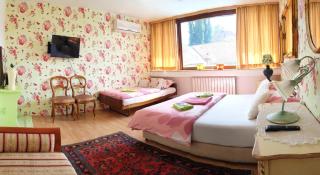 Hostel Pansion Lion - Sarajevo - 7