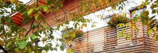 Appartements Schusterbauer - Naz-Sciaves - 0