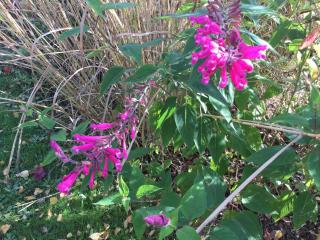 Chambres d'Hotes au Pays de Valencay en Berry - 8