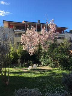 Via Mazzini - 9