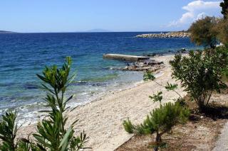 Apartments by the sea Mandre, Pag - 6516 - Kolan - 4
