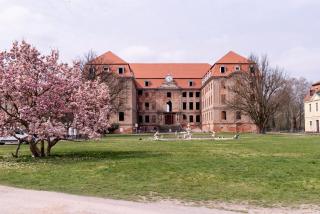 Pałac Brody - Brody - 7