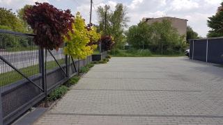 Apartament Angelo - Sosnowiec - 6