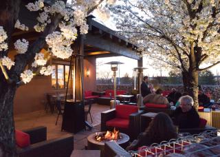 The Sage Hotel - 5