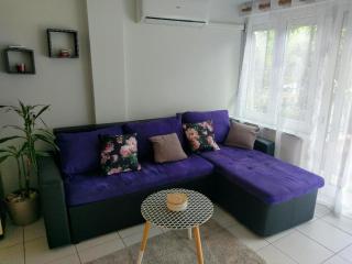 Lovely apartment with garden and terrace - Rijeka - 4