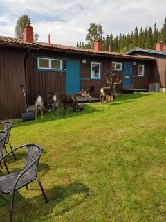 Bydalens Fjällby - Hallen - 9