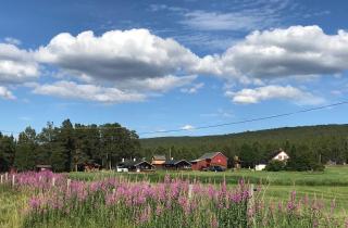 Roste Hyttetun og Camping - 0