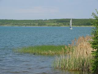 Feriendomizil am Störmthaler See, Lagovida, Leipziger Neuseenland, Großpösna, Privatstrand - Großpösna - 8