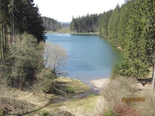 Fewo Am Wald 5 - Hahnenklee-Bockswiese - 9