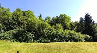 Fewo Am Wald 5 - 3