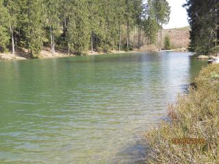Fewo Am Wald 5 - Hahnenklee-Bockswiese - 1