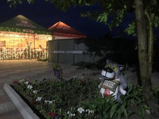 Comfort Guest House - Borovoye - 3