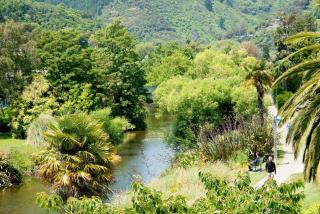 Riverside - Nelson - 9