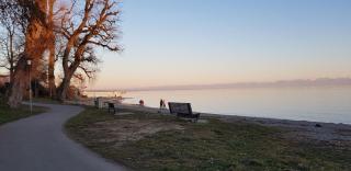 Fewo Saur - Immenstaad am Bodensee - 9