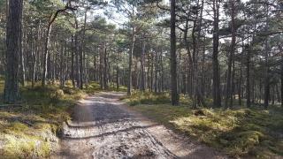 HomeBaltic - 3