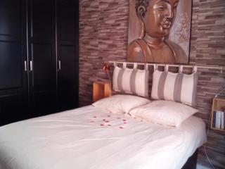 La Baronne Apartment - Cannes - 4