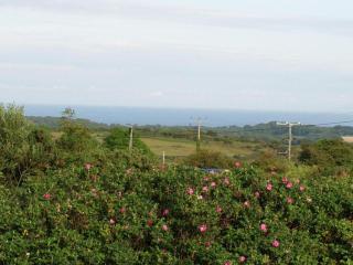 Halvosso - Penryn - 9