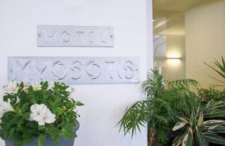 Hotel Myosotis - 2