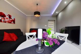 Apartament Grey - Busko-Zdrój - 2