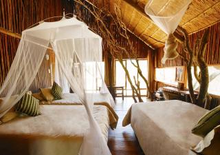 Pezulu Tree House Lodge - Hoedspruit - 3